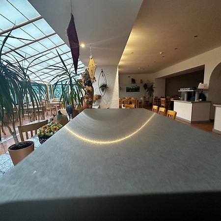Landhotel Harz ثال المظهر الخارجي الصورة