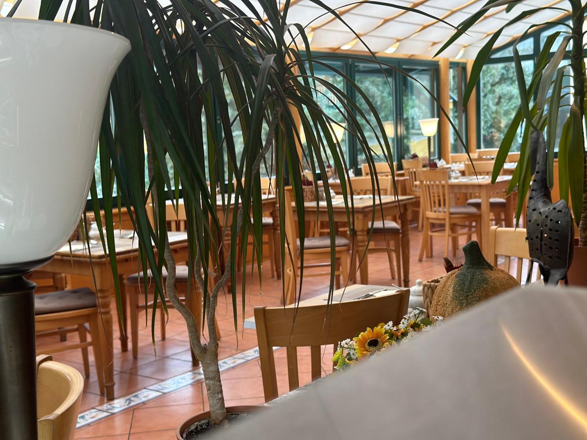 Landhotel Harz ثال المظهر الخارجي الصورة