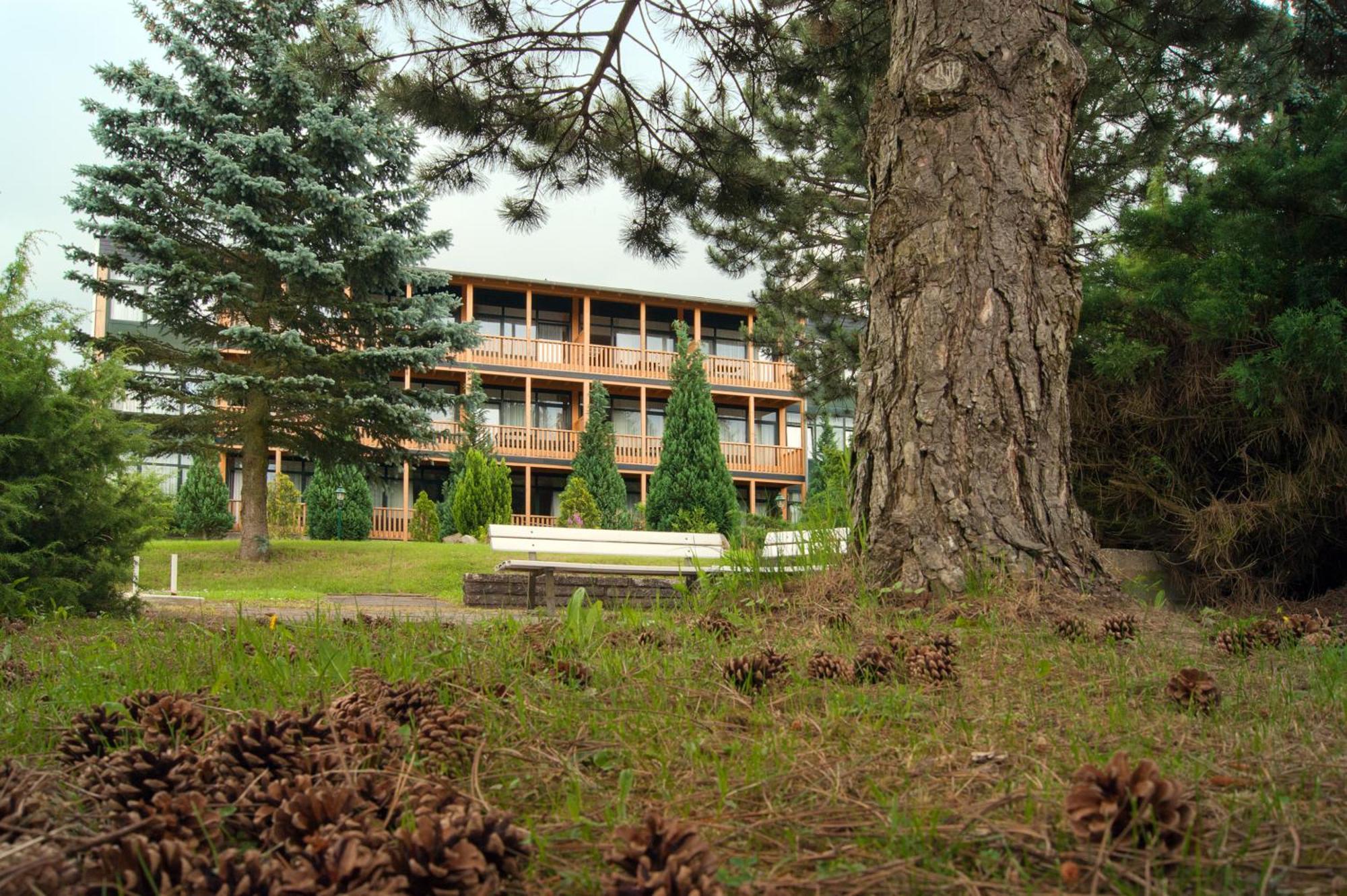 Landhotel Harz ثال المظهر الخارجي الصورة