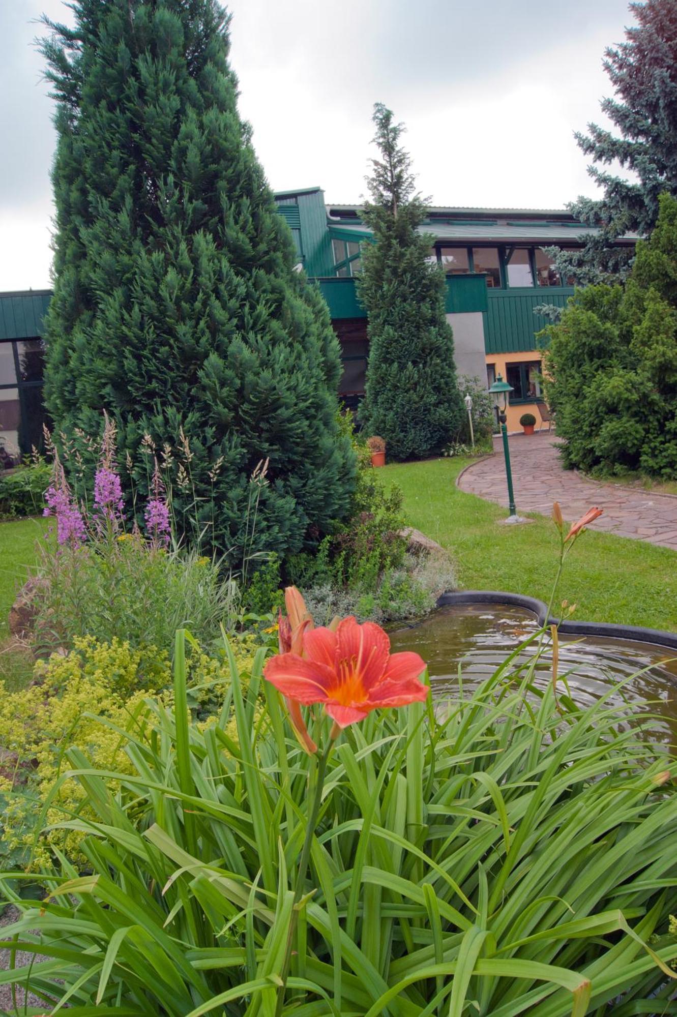Landhotel Harz ثال المظهر الخارجي الصورة